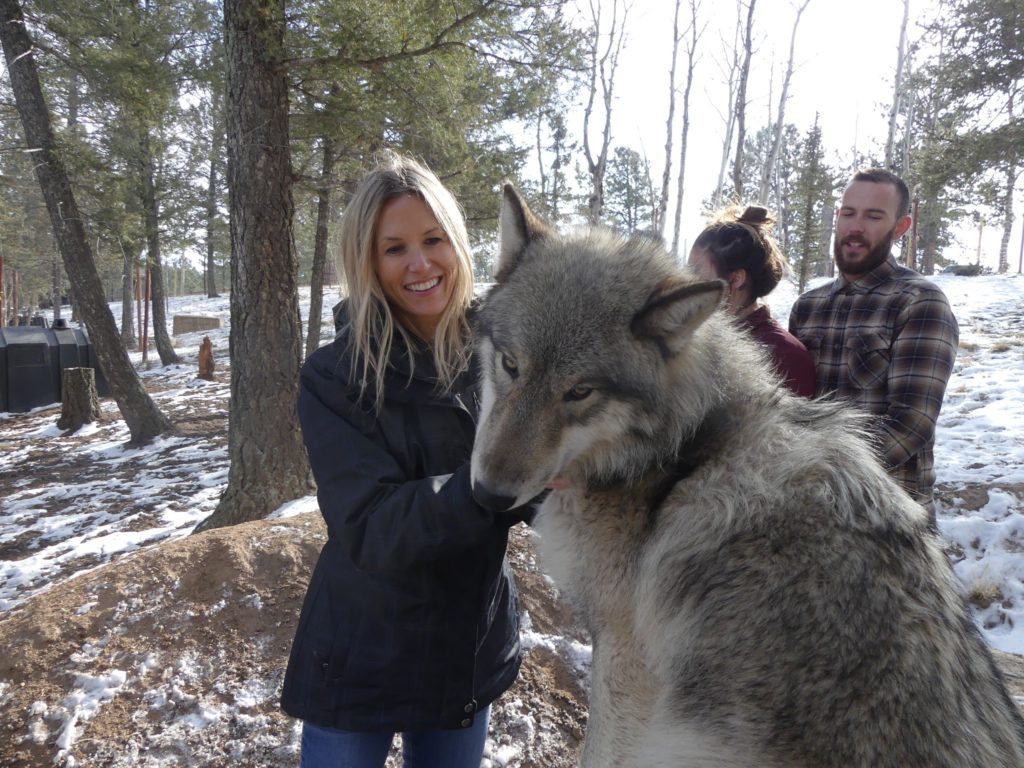 Wolf kisses at the Colorado Wolf and Wildlife Center - Sunrise In A New ...